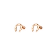 Picture of Horseshoe earrings