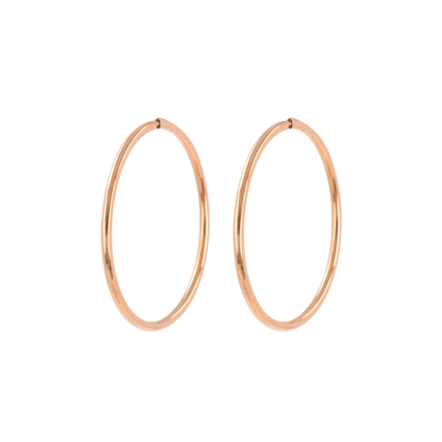 Picture of Kõrvarõngad 2,7 cm