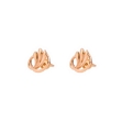 Picture of Gold earrings