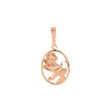 Picture of Leo pendant