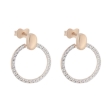 Picture of Gold earrings