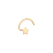 Picture of Nose ring