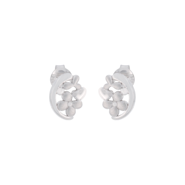 Picture of Silver earrings