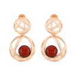Picture of Baltic amber earrings