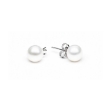 Picture of Gaura earrings