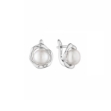 Picture of Gaura pearl earrings