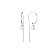 Picture of Gaura pearl earrings