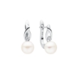 Picture of Gaura pearl earrings