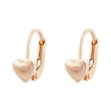 Picture of Gold earrings
