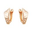 Picture of Gold earrings