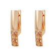Picture of Gold earrings
