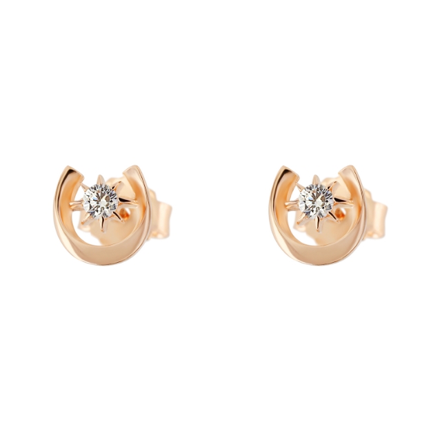 Picture of Earrings CZ