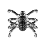 Picture of Rebecca ring