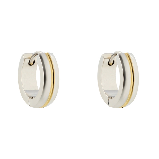 Picture of Stainless steel earrings