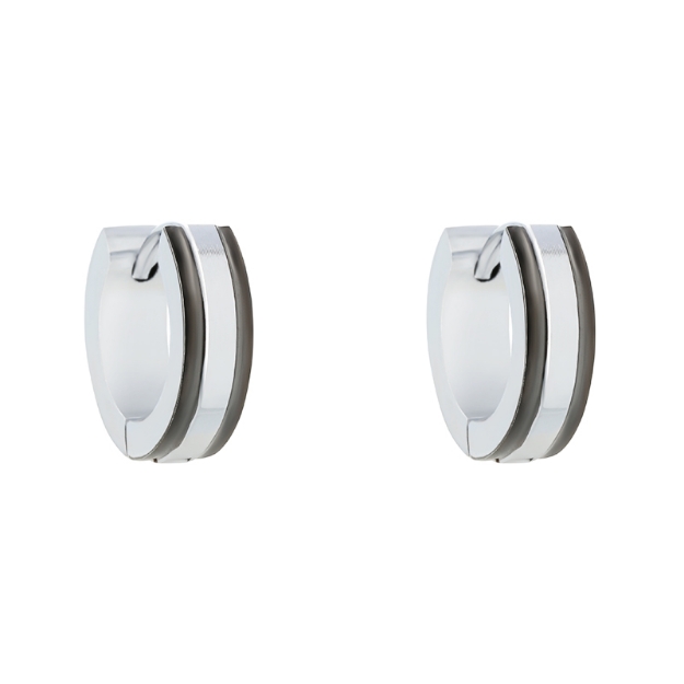 Picture of Stainless steel earrings