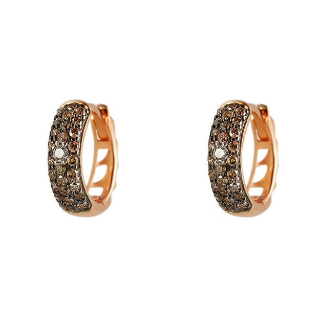 Pilt Kõrvarõngad teemantidega