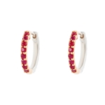 Picture of Ruby and Diamond Earrings