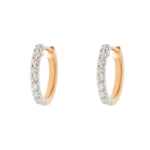 Picture of Ruby and Diamond Earrings