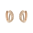 Picture of Sueno earrings