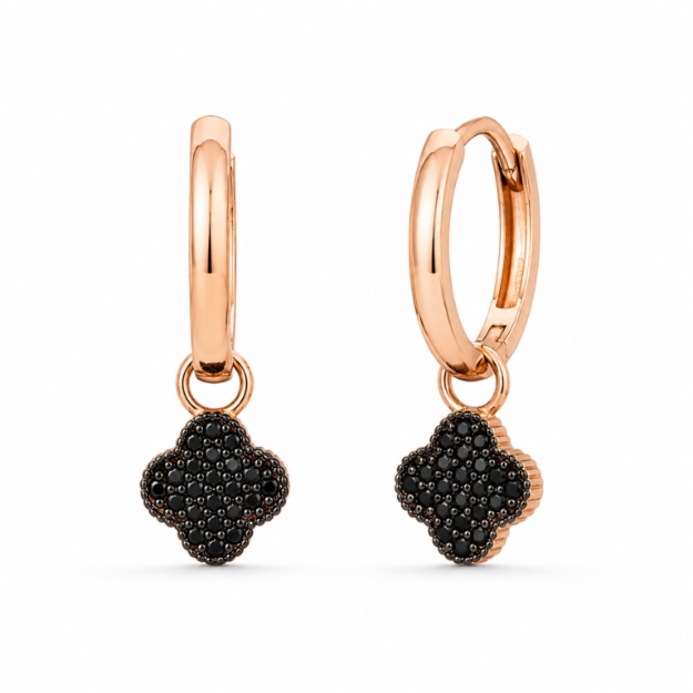 Picture of Earrings