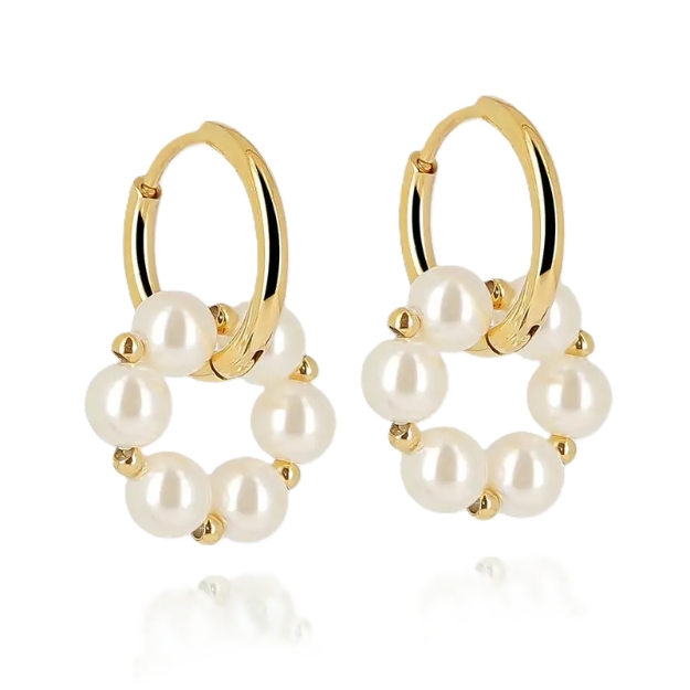 Picture of ZAG Earrings