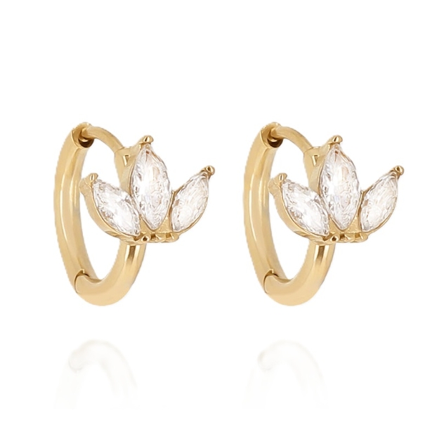 Picture of ZAG Earrings
