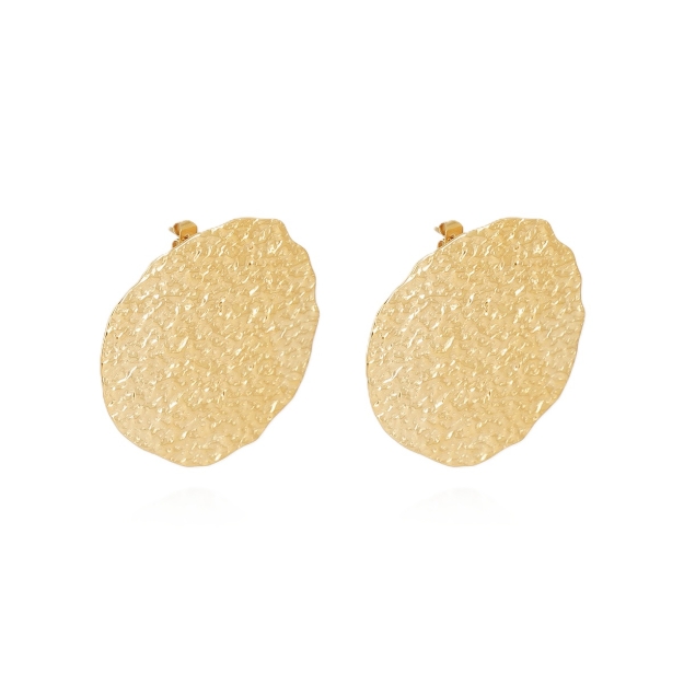 Picture of ZAG Earrings