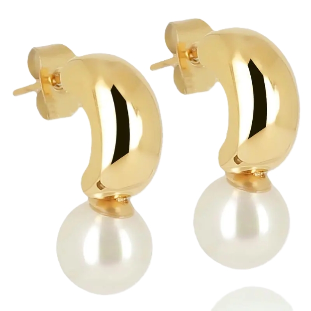 Picture of ZAG Earrings