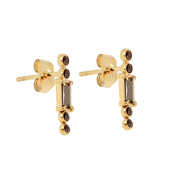 Picture of ZAG Earrings