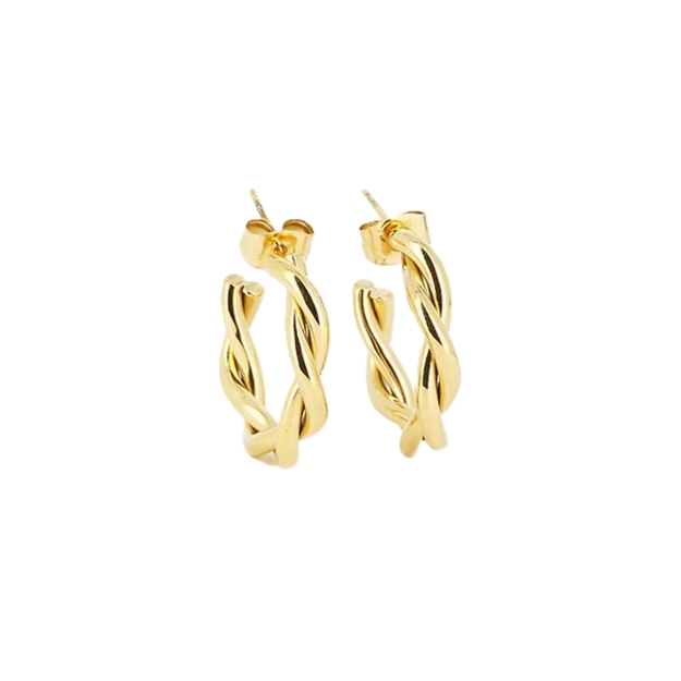 Picture of ZAG Earrings