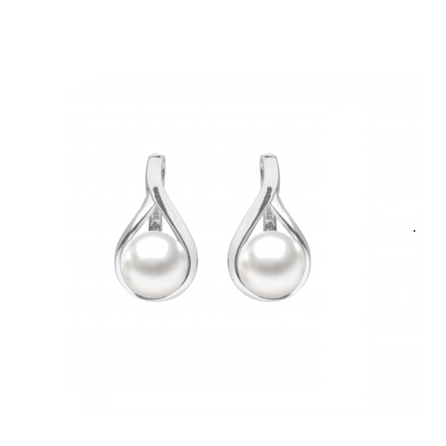 Picture of Gaura earrings