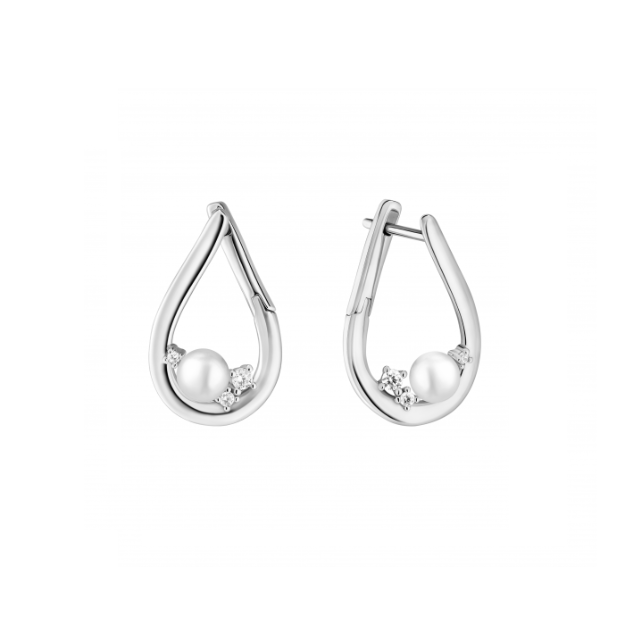 Picture of Gaura earrings