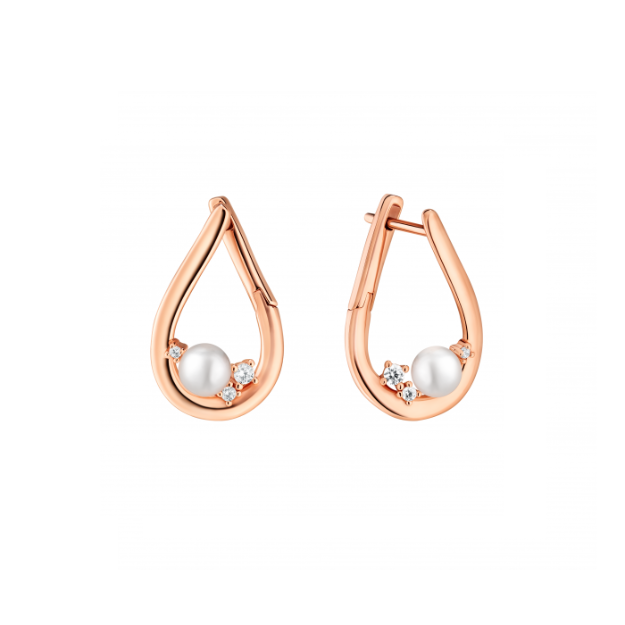 Picture of Gaura earrings